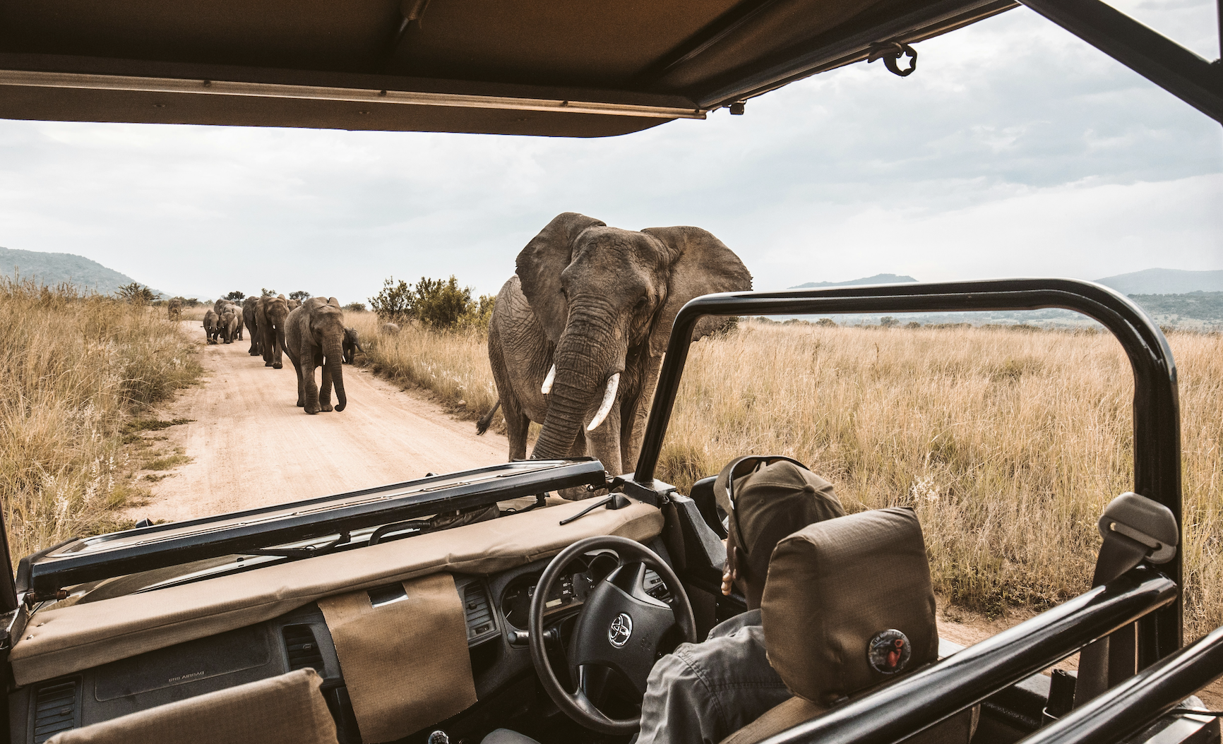 Screenshot 2025-10-12 at 1.23.46 PM